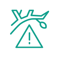 ikona - Niebezpieczne gałęzie