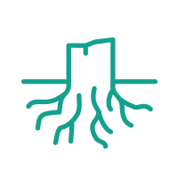 ikona - Usuwanie pniaków