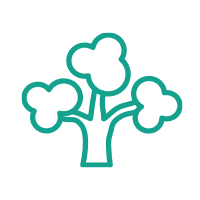 ikona - Drzewa rozłożyste