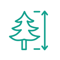 ikona - Drzewa wysokie